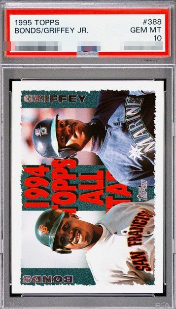 1995 Topps Ken Griffey Jr. / Barry Bonds card #388 in PSA 10 slab